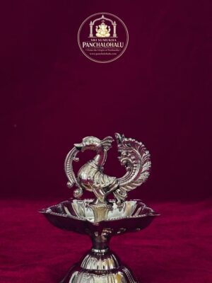 WhatsApp Image 2026-02-09 at 5.22.11 PM