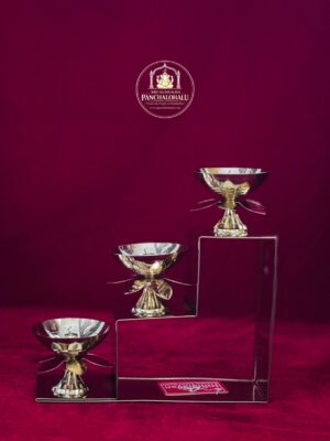 WhatsApp Image 2026-02-09 at 5.22.13 PM