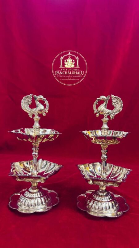 WhatsApp Image 2026-02-09 at 5.22.27 PM