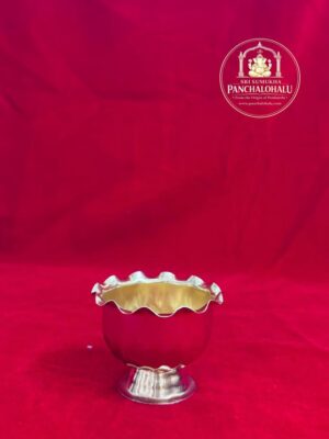 WhatsApp Image 2026-02-09 at 5.23.07 PM (2)