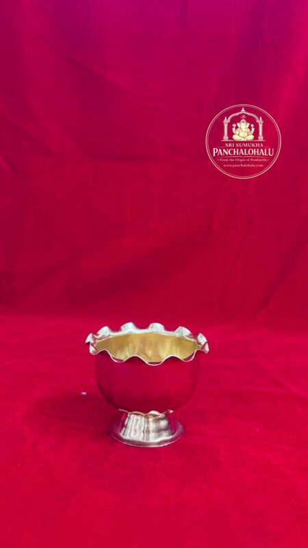 WhatsApp Image 2026-02-09 at 5.23.07 PM (2)