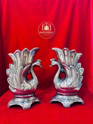 WhatsApp Image 2026-02-16 at 3.57.49 PM