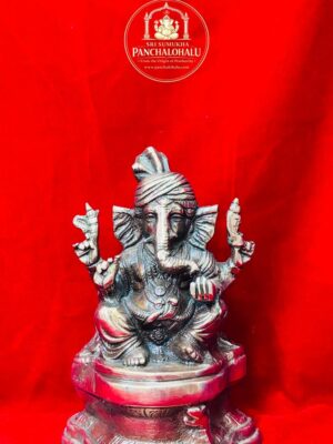 WhatsApp Image 2026-02-16 at 3.57.58 PM